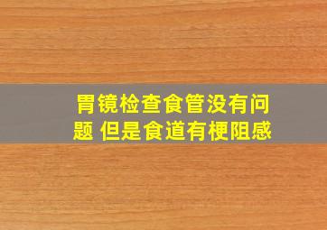 胃镜检查食管没有问题 但是食道有梗阻感